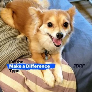 Meet your Posher, Robin